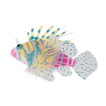 厂家创意鱼缸水族箱造景装饰 软体珊瑚玩具仿真彩色狮子鱼 三色