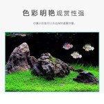 厂家创意鱼缸水族箱造景装饰 软体珊瑚玩具仿真彩色狮子鱼 三色