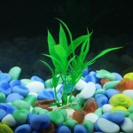 厂家供应鱼缸装饰仿真水草 水族箱布景水池造景竹叶草摆件装饰