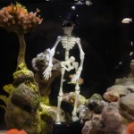 跨境批发3D打印会跳舞的骷髅头鱼缸造景装饰打氧神器海缸创意摆件