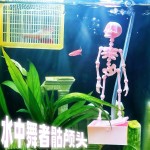 跨境批发3D打印会跳舞的骷髅头鱼缸造景装饰打氧神器海缸创意摆件
