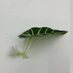水族鱼缸造景斗鱼产卵叶装饰人造仿真水草斗鱼休息叶供货跨境电商