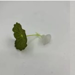 水族鱼缸造景斗鱼产卵叶装饰人造仿真水草斗鱼休息叶供货跨境电商