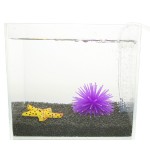 玫红色水族装饰 软体海胆仿真珊瑚 硅胶制品鱼缸造景装饰品