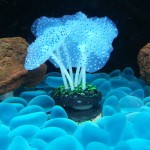 鱼缸仿真装饰品批发夜光硅胶海底世界荧光假珊瑚水族造景彩色海葵