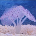 鱼缸造景水草荧光珊瑚硅胶仿真水母观赏鱼水族箱装饰用品外贸批发
