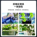 鱼缸造景装饰固定水培植物支架定植篮固定水草杯造景绿植壁挂种篮
