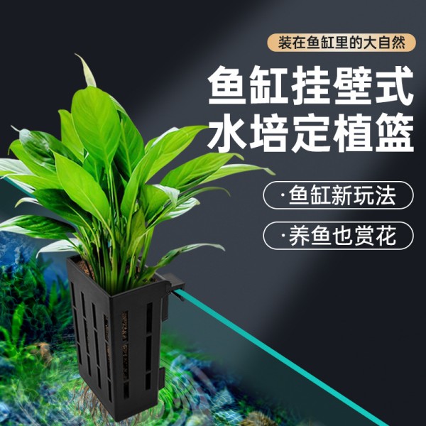 鱼缸造景装饰固定水培植物支架定植篮固定水草杯造景绿植壁挂种篮