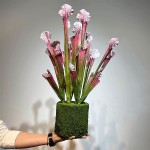 仿真批发瓶子草装饰花食人花假花插花花材婚庆摄影道具猪笼草跨境
