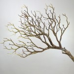 仿真珊瑚树枝微景观假植物造景婚庆摆件枯枝插花花艺装饰拍摄道具