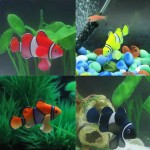 鱼缸造景仿真海洋鱼水族箱装饰品假鱼塑料会游动假鱼夜光鱼观赏鱼
