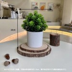仿真花仿真盆景假花办公室桌面摆件客厅北欧轻奢ins饰品拍照道具