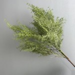 珊瑚草 仿真迷雾草 酒店造景婚礼用品家居装饰天门冬金鱼草雾松