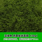创意仿真苔藓丝盲盒展示盒装饰草植物墙盆栽铺面假苔藓微景观草地