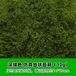 创意仿真苔藓丝盲盒展示盒装饰草植物墙盆栽铺面假苔藓微景观草地