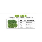 创意仿真苔藓丝盲盒展示盒装饰草植物墙盆栽铺面假苔藓微景观草地