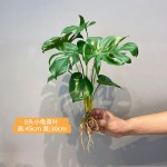仿真造景植物水培假草桌面装饰商场橱窗摆设苹果叶竹芋龟背白掌叶