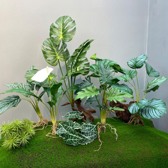 仿真造景植物水培假草桌面装饰商场橱窗摆设苹果叶竹芋龟背白掌叶