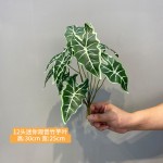 仿真造景植物水培假草桌面装饰商场橱窗摆设苹果叶竹芋龟背白掌叶