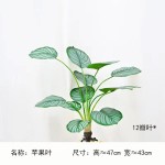 仿真造景植物水培假草桌面装饰商场橱窗摆设苹果叶竹芋龟背白掌叶