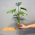 仿真造景植物水培假草桌面装饰商场橱窗摆设苹果叶竹芋龟背白掌叶