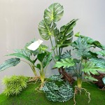 仿真造景植物水培假草桌面装饰商场橱窗摆设苹果叶竹芋龟背白掌叶
