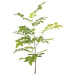 仿真大枝黄花梨 漆树叶造景酒店橱窗 场景装饰摆件仿真植物香椿树