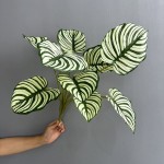 芋叶龟背叶滴水观音海棠叶造景植物家居地插装饰盆景绿叶仿真花