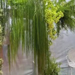 仿真绿植花艺造景拉丝水蜡叶干花材水烛花水竹叶丝垂吊挂婚庆装饰