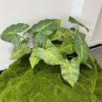 仿真水晶叶龟背叶滴水观音海棠叶绿植造景植物家居地插装饰盆景