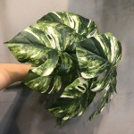 仿真水晶叶龟背叶滴水观音海棠叶绿植造景植物家居地插装饰盆景