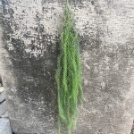 仿真植物墙配饰 仿真 小植物壁挂橱窗酒店造景装饰垂挂假绿植批发