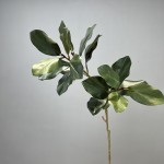仿真玉兰叶植物批发 花瓶玉兰枝茶花摆件 绿植塑胶花造景插花装饰