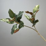 仿真玉兰叶植物批发 花瓶玉兰枝茶花摆件 绿植塑胶花造景插花装饰