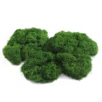 仿真苔藓草皮造景仿生绿植青苔微景观布置摆件草坪盆景盆铺面