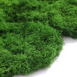 仿真苔藓草皮造景仿生绿植青苔微景观布置摆件草坪盆景盆铺面
