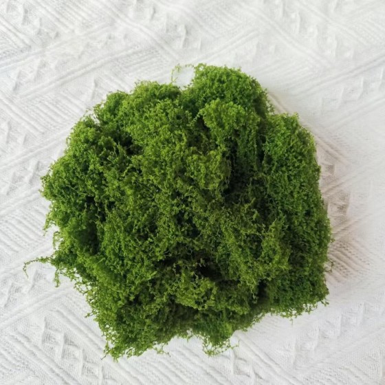 仿真苔藓草皮造景仿生绿植青苔微景观布置摆件草坪盆景盆铺面