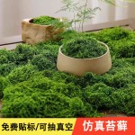 仿真苔藓草皮造景仿生绿植青苔微景观布置摆件草坪盆景盆铺面