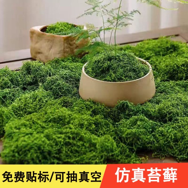 仿真苔藓草皮造景仿生绿植青苔微景观布置摆件草坪盆景盆铺面