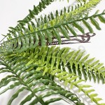 亚马逊仿真绿植蕨类绿植假花12头波斯叶植物墙配材装饰把束造景草