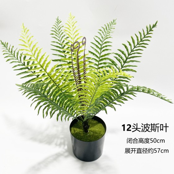 亚马逊仿真绿植蕨类绿植假花12头波斯叶植物墙配材装饰把束造景草