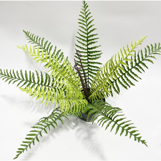 亚马逊仿真绿植蕨类绿植假花12头波斯叶植物墙配材装饰把束造景草