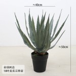 仿真龙舌兰芦荟盆栽剑麻绿植皇冠兰室内造景居家装饰盆景虎皮兰