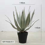 仿真龙舌兰芦荟盆栽剑麻绿植皇冠兰室内造景居家装饰盆景虎皮兰