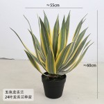 仿真龙舌兰芦荟盆栽剑麻绿植皇冠兰室内造景居家装饰盆景虎皮兰