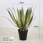 仿真龙舌兰芦荟盆栽剑麻绿植皇冠兰室内造景居家装饰盆景虎皮兰