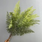 仿真虎耳蕨植物波斯蕨大叶蕨草客厅装饰绿植墙面造景蕨类假草