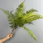 仿真虎耳蕨植物波斯蕨大叶蕨草客厅装饰绿植墙面造景蕨类假草