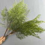 仿真虎耳蕨植物波斯蕨大叶蕨草客厅装饰绿植墙面造景蕨类假草