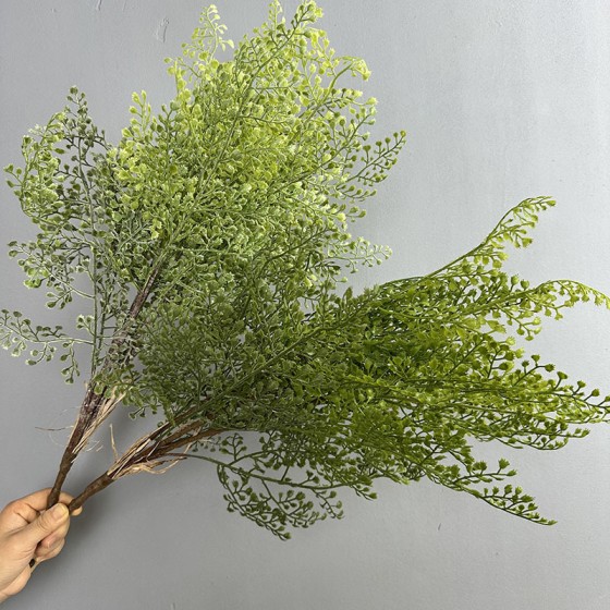 仿真虎耳蕨植物波斯蕨大叶蕨草客厅装饰绿植墙面造景蕨类假草